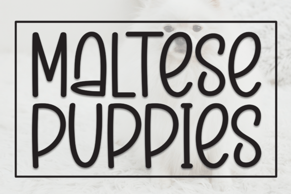 Charming Maltese Puppies Font for Crafters and Creators