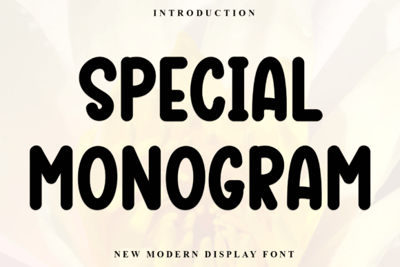 Special Monogram: A Premium Font for Elevating Web Design